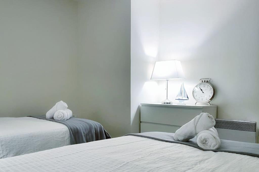 Two Bedroom Luxury Apt With Film Style スウォンジー エクステリア 写真