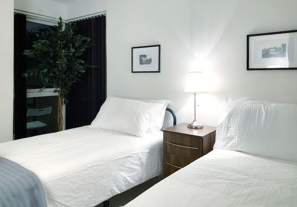 Two Bedroom Luxury Apt With Film Style スウォンジー エクステリア 写真